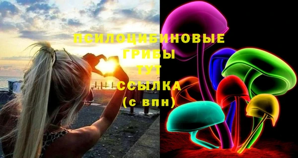 ПСИЛОЦИБИНОВЫЕ ГРИБЫ Богданович