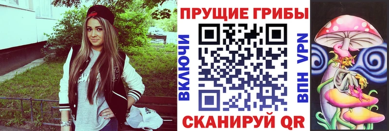 Галлюциногенные грибы прущие грибы кракен зеркало Пудож даркнет сайт