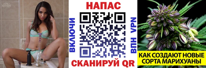 Бошки марихуана White Widow  это официальный сайт  ОМГ ОМГ ссылки  Пудож  что такое  